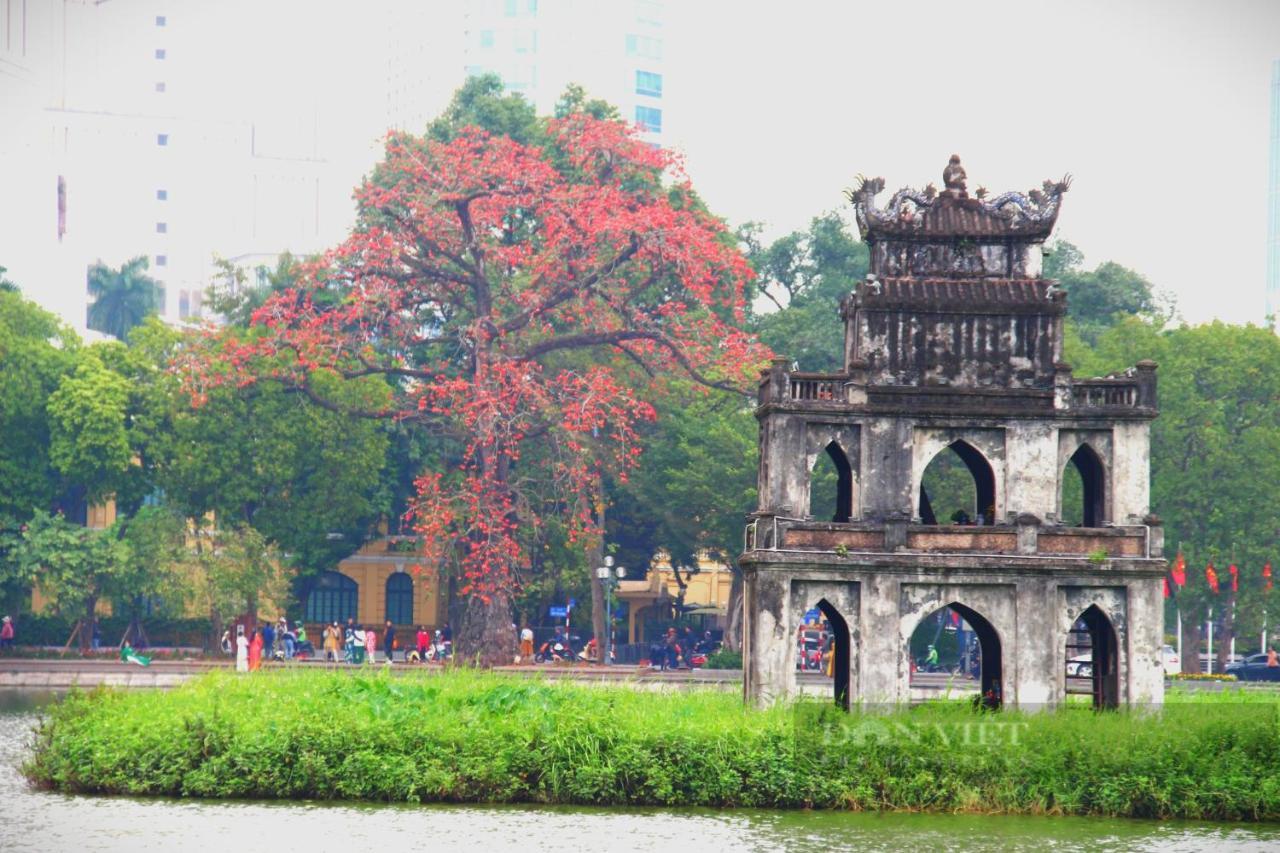 Bong Ha Noi Hostel Hanoi Exterior photo